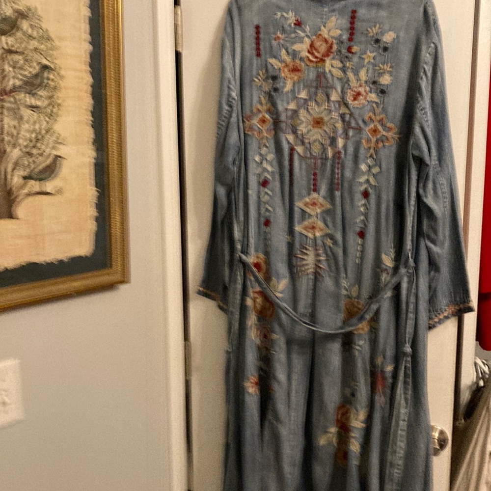 Beautiful Kyla Seo!! Embroidered Light Blue Long Sleeve Maxi Dress